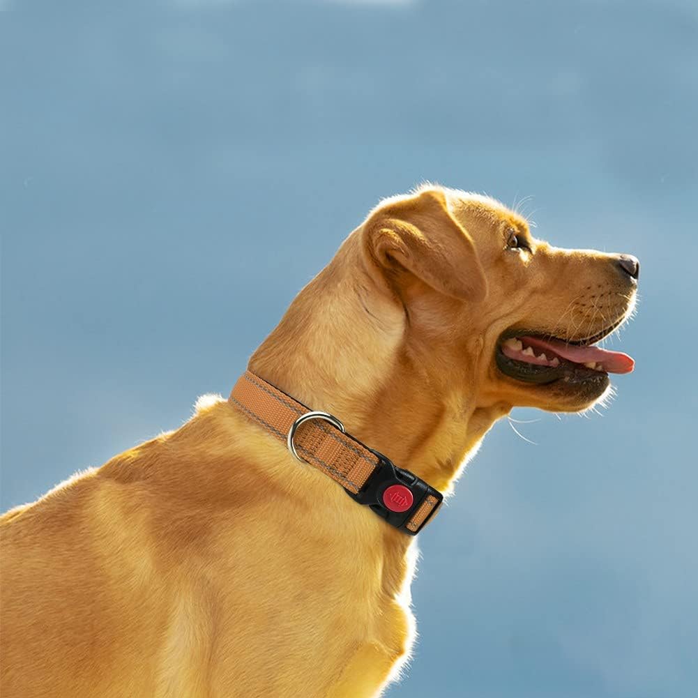 18"-28" Dog Collar and 6 FT Dog Leash Set, Highly Reflective Threads Dog Leash, Adjustable Reflective Dog Collar with Safety Locking Buckle for Extra Large Dogs