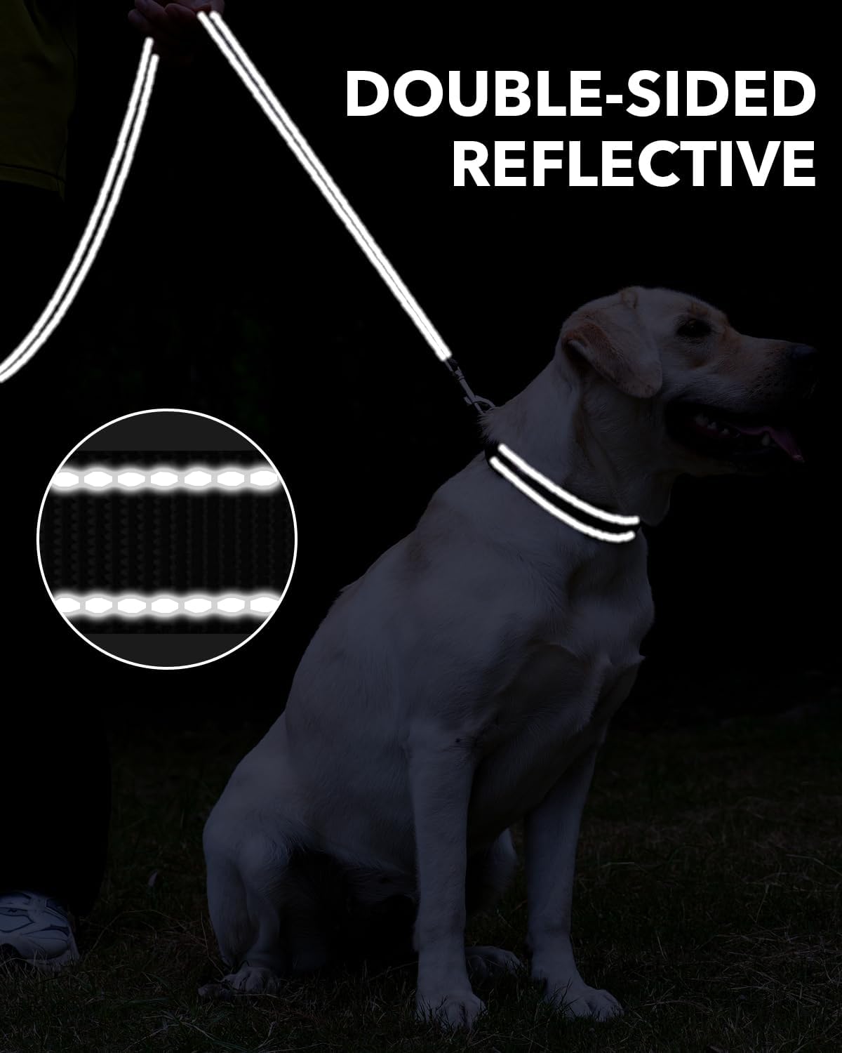 Dog Leash for Small Dogs, Double-Sided Reflective Leash with Soft Neoprene Padded Handle, 3/4 inch by 6 ft, Fit Small Medium Large Breeds Under 20 lbs, Black
