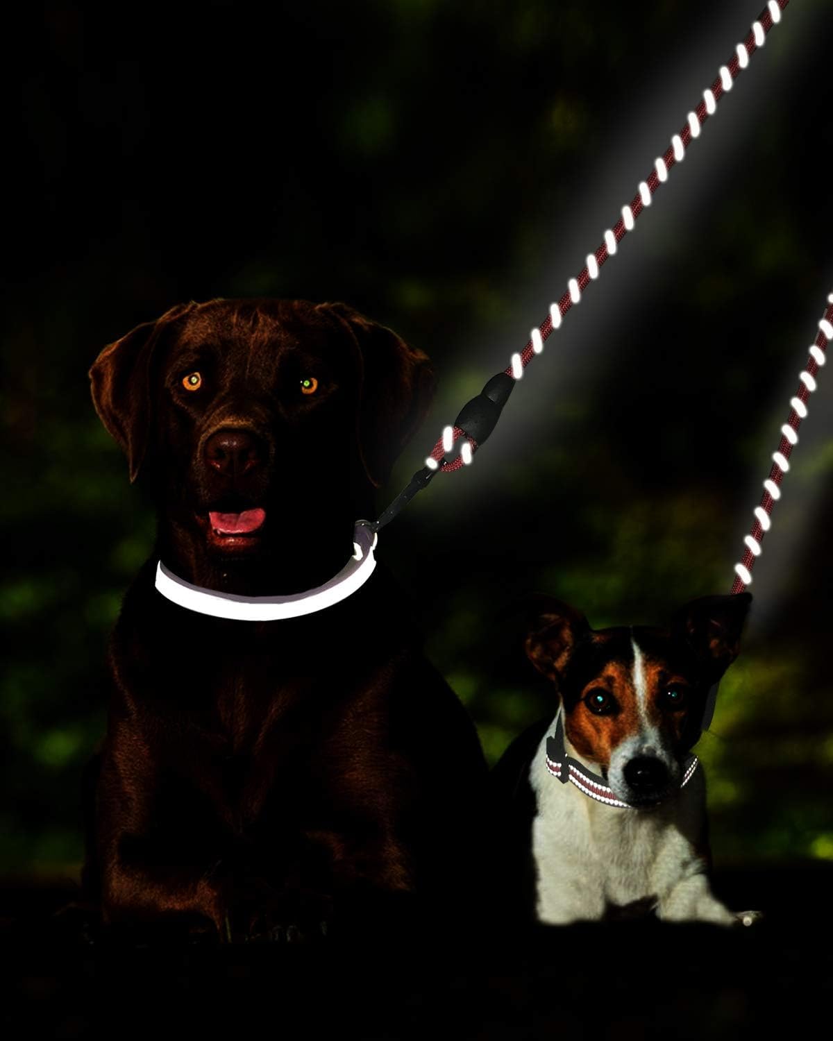 Double Dog Leash | Reflective Rope | No Tangle | Double Leash for Two Dogs | Puppy Small Medium Breeds | Black