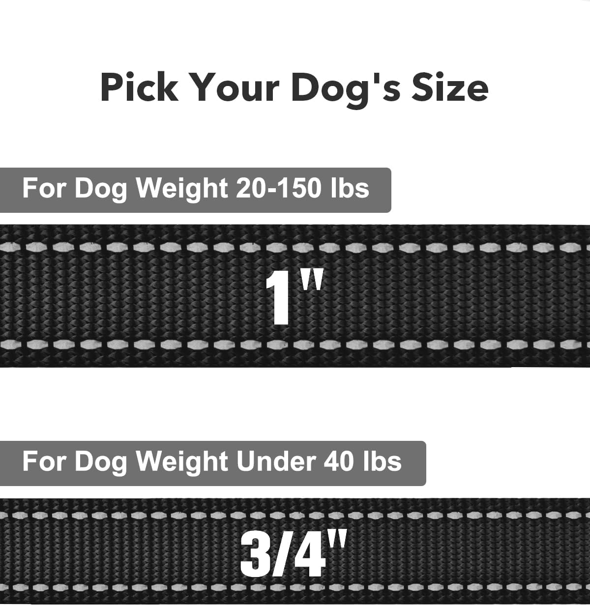 Dog Leash for Small Dogs, Double-Sided Reflective Leash with Soft Neoprene Padded Handle, 3/4 inch by 6 ft, Fit Small Medium Large Breeds Under 20 lbs, Black
