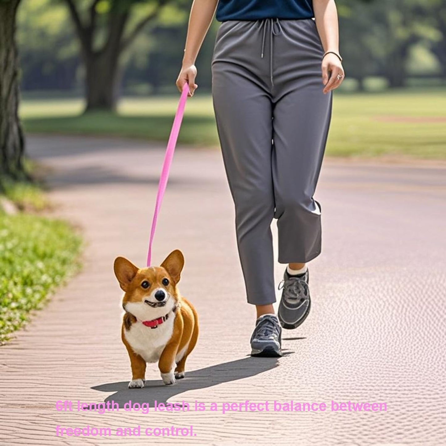 6 FT Puppy Leashes, Strong Traditional Style Leash with Easy to Use Collar Hook,Dog Lead Great for Small and Medium and Large Dog (Pink, 5/8 in x 6 ft)