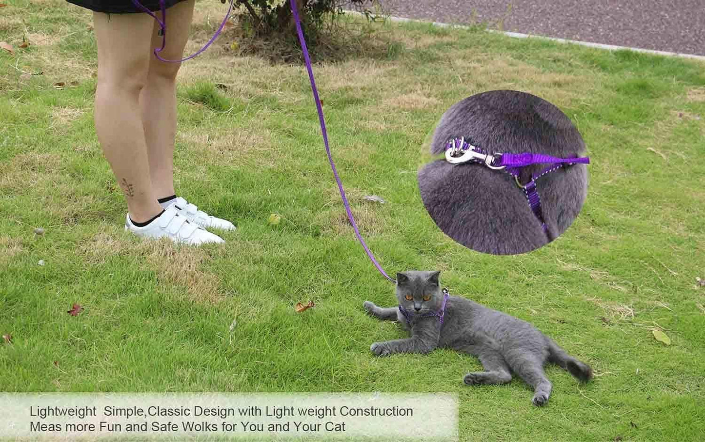 6 FT Puppy/Leash, Strong Traditional Style with Easy to Use Collar Hook, Great for Small, Medium and Large Dogs (5/8in x 6 ft, Purple)