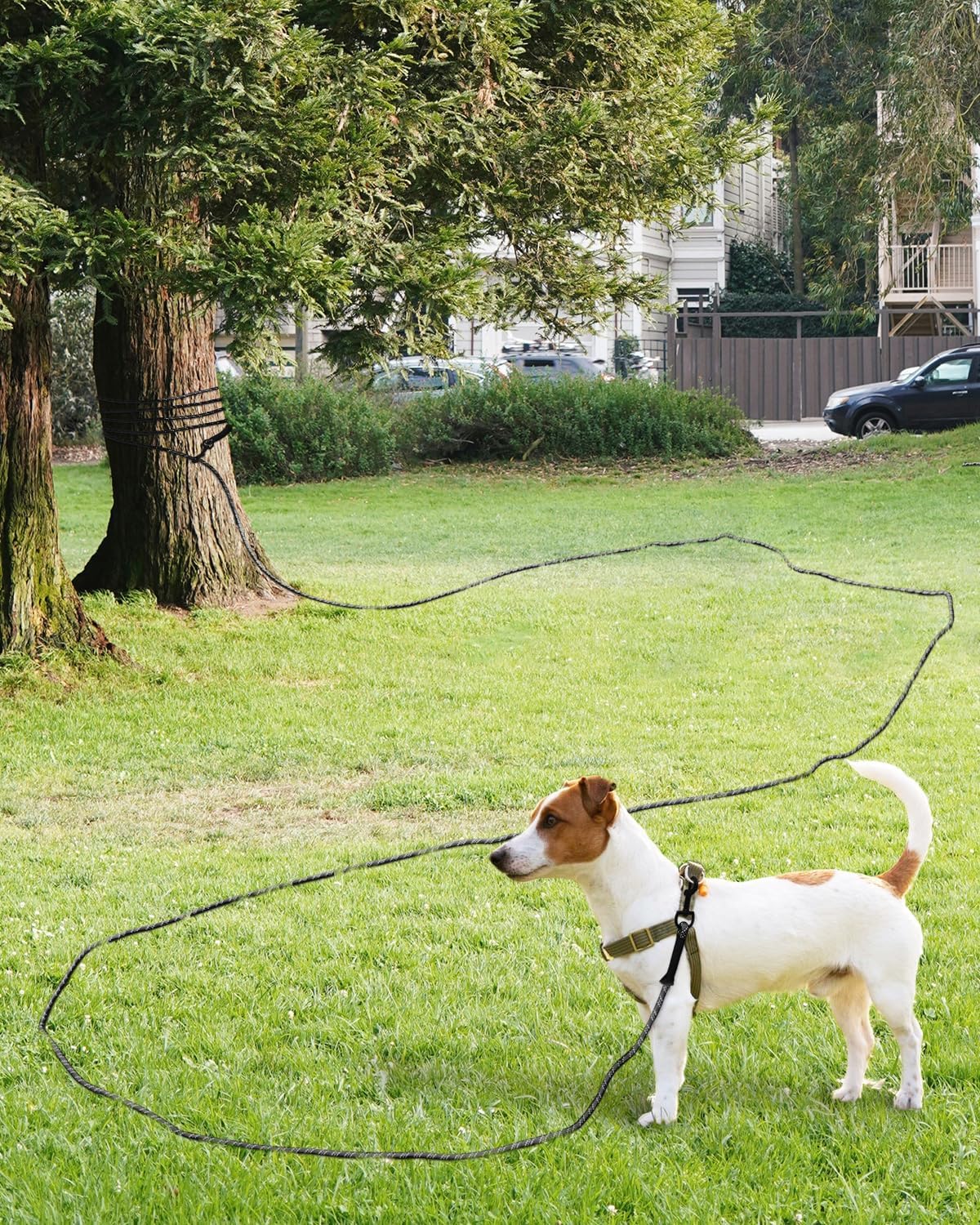 Dog Tie Out, Long Dog Leash 15FT 30FT 50FT 66FT, Recall Training Leash with 2 Swivel Hooks for Large Medium Small Breeds Walking, Camping, or Backyard, Black 30FT