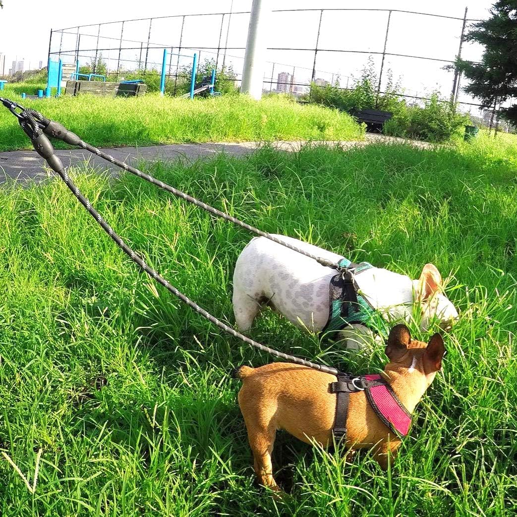 Double Dog Leash | Reflective Rope | No Tangle | Double Leash for Two Dogs | Puppy Small Medium Breeds | Black