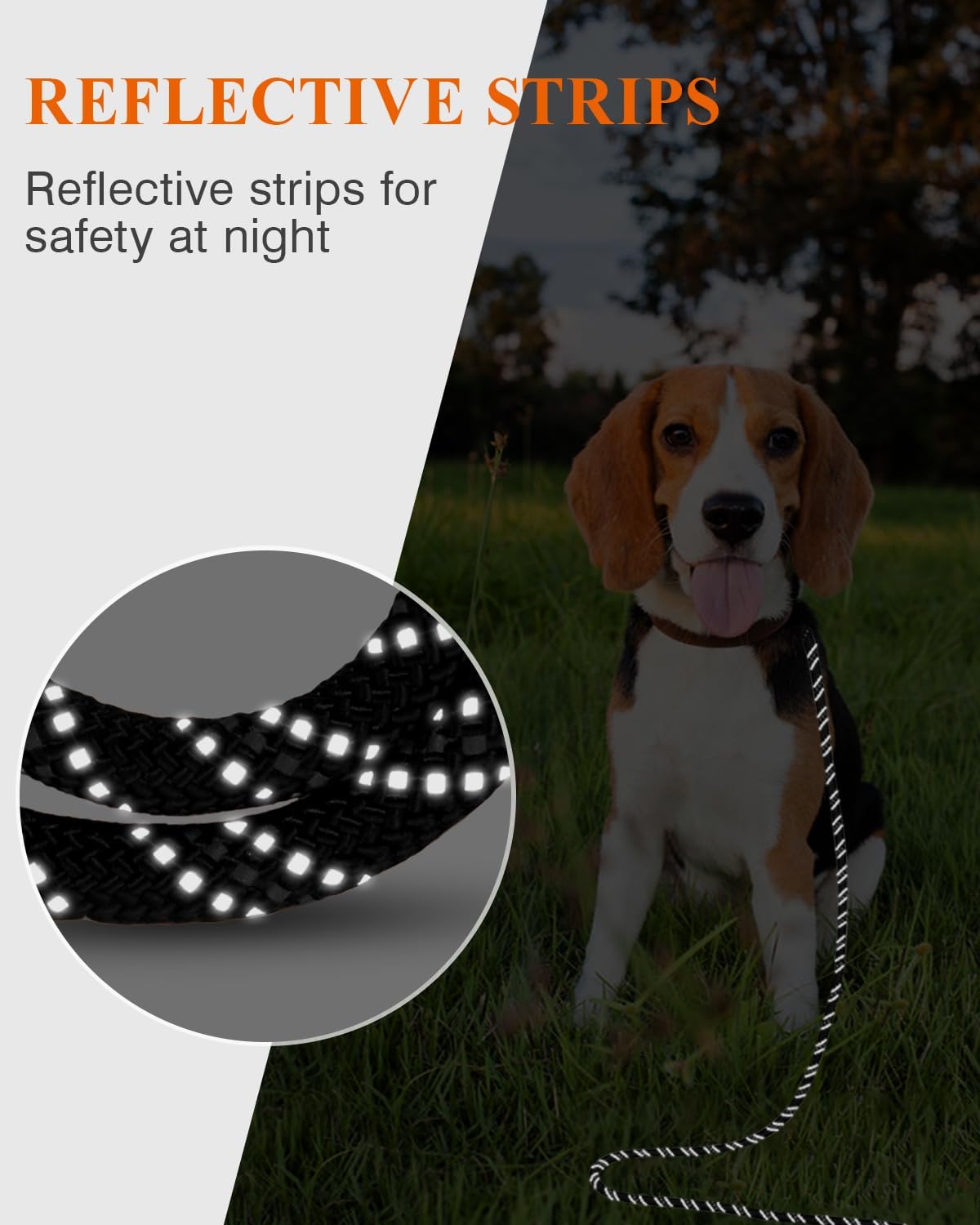 Dog Tie Out, Long Dog Leash 15FT 30FT 50FT 66FT, Recall Training Leash with 2 Swivel Hooks for Large Medium Small Breeds Walking, Camping, or Backyard, Black 30FT