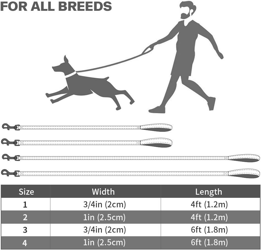 Dog Leash for Small Dogs, Double-Sided Reflective Leash with Soft Neoprene Padded Handle, 3/4 inch by 6 ft, Fit Small Medium Large Breeds Under 20 lbs, Black