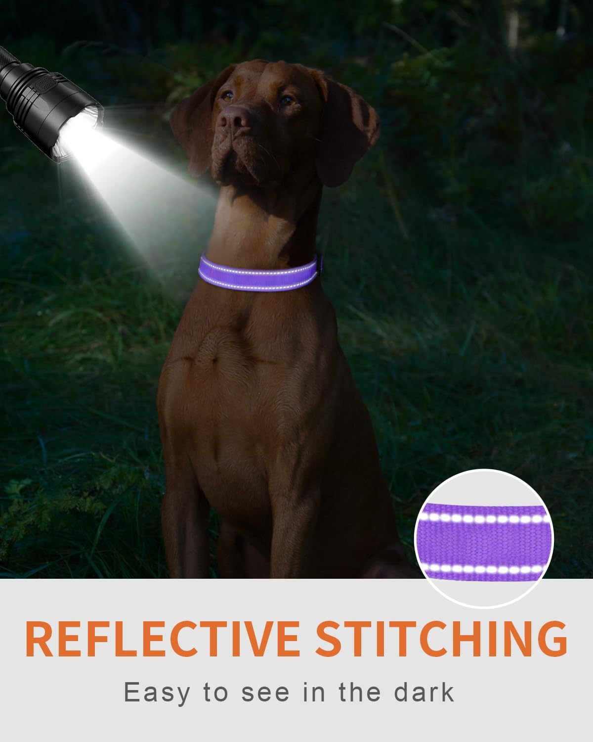 Personalized Dog Collars, Embroidered Reflective Collar with Name and Phone Number, Adjustable, Nylon Material, for Medium Dogs, Purple