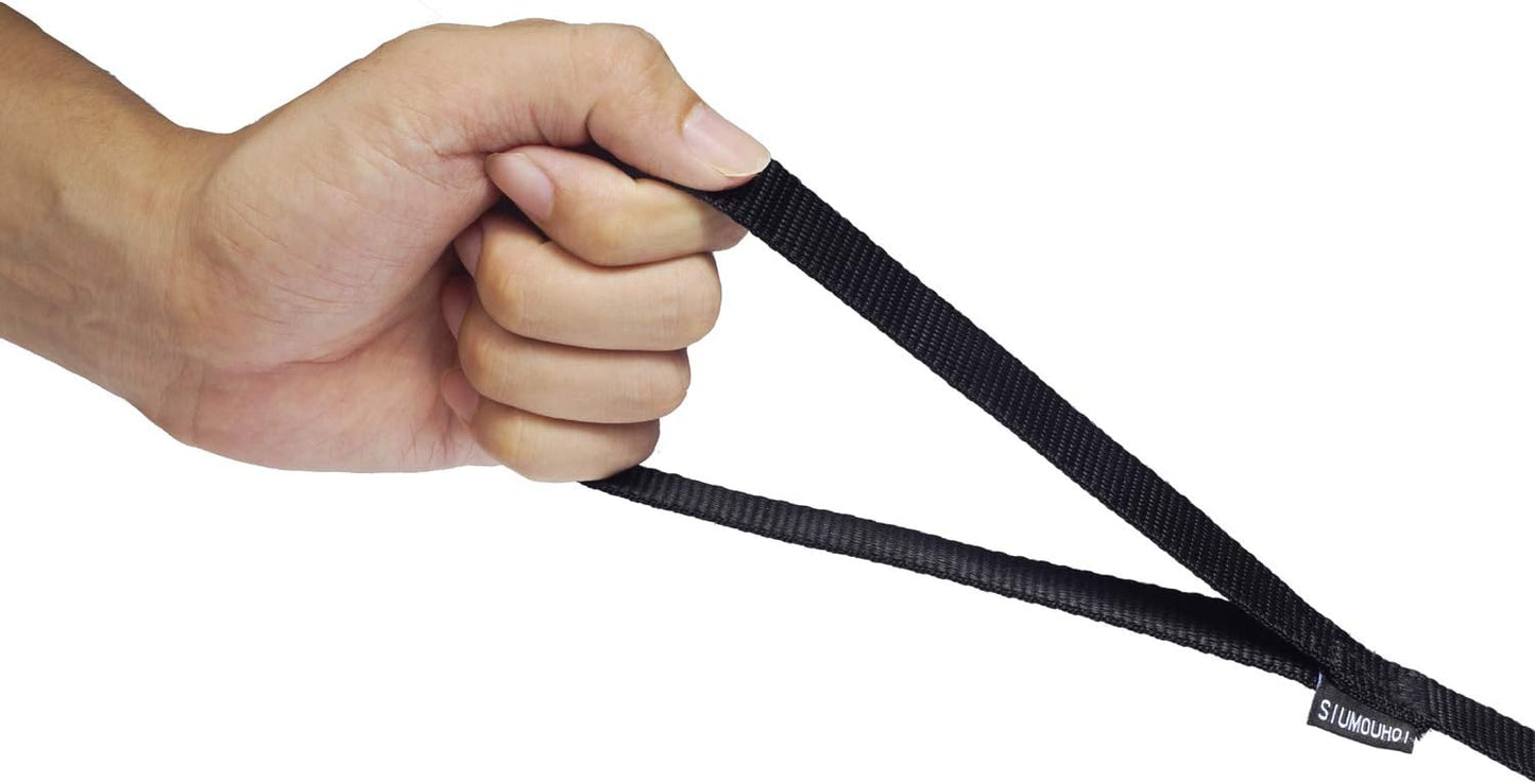 Strong Durable Nylon Dog Training Leash, 1 Inch Wide Traction Rope, 6 ft 10ft 15ft Long, for Small and Medium Dog (Black, 10 Feet)
