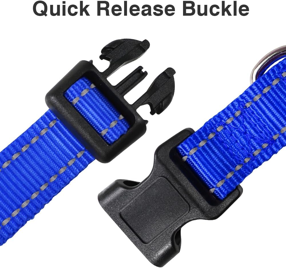 Reflective Adjustable Dog Collars for Puppy Small Medium Large Dogs, Thin Nylon Webbing and Quick Release Plastic Buckle(Royal Blue, Medium)