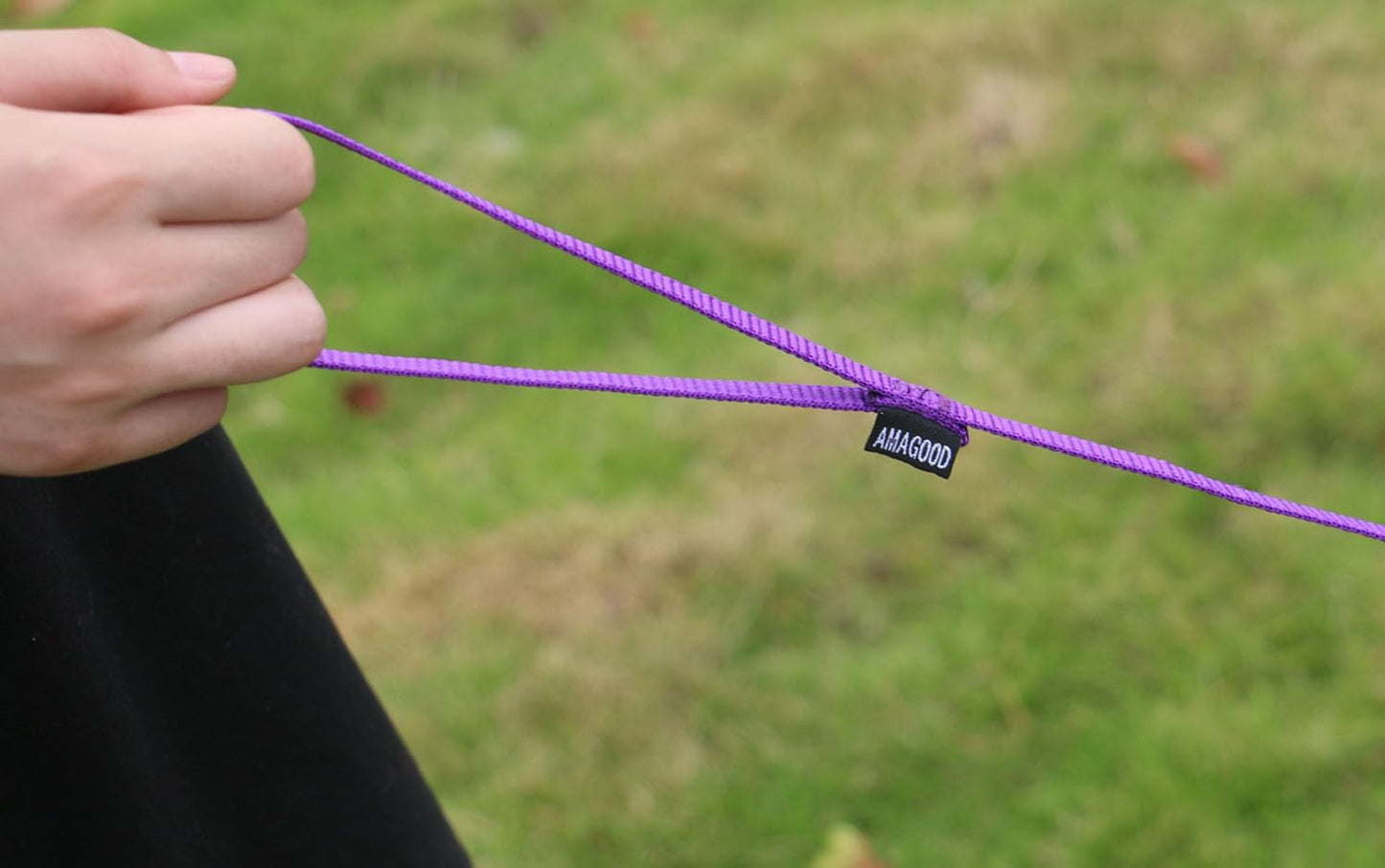 6 FT Puppy/Leash, Strong Traditional Style with Easy to Use Collar Hook, Great for Small, Medium and Large Dogs (5/8in x 6 ft, Purple)