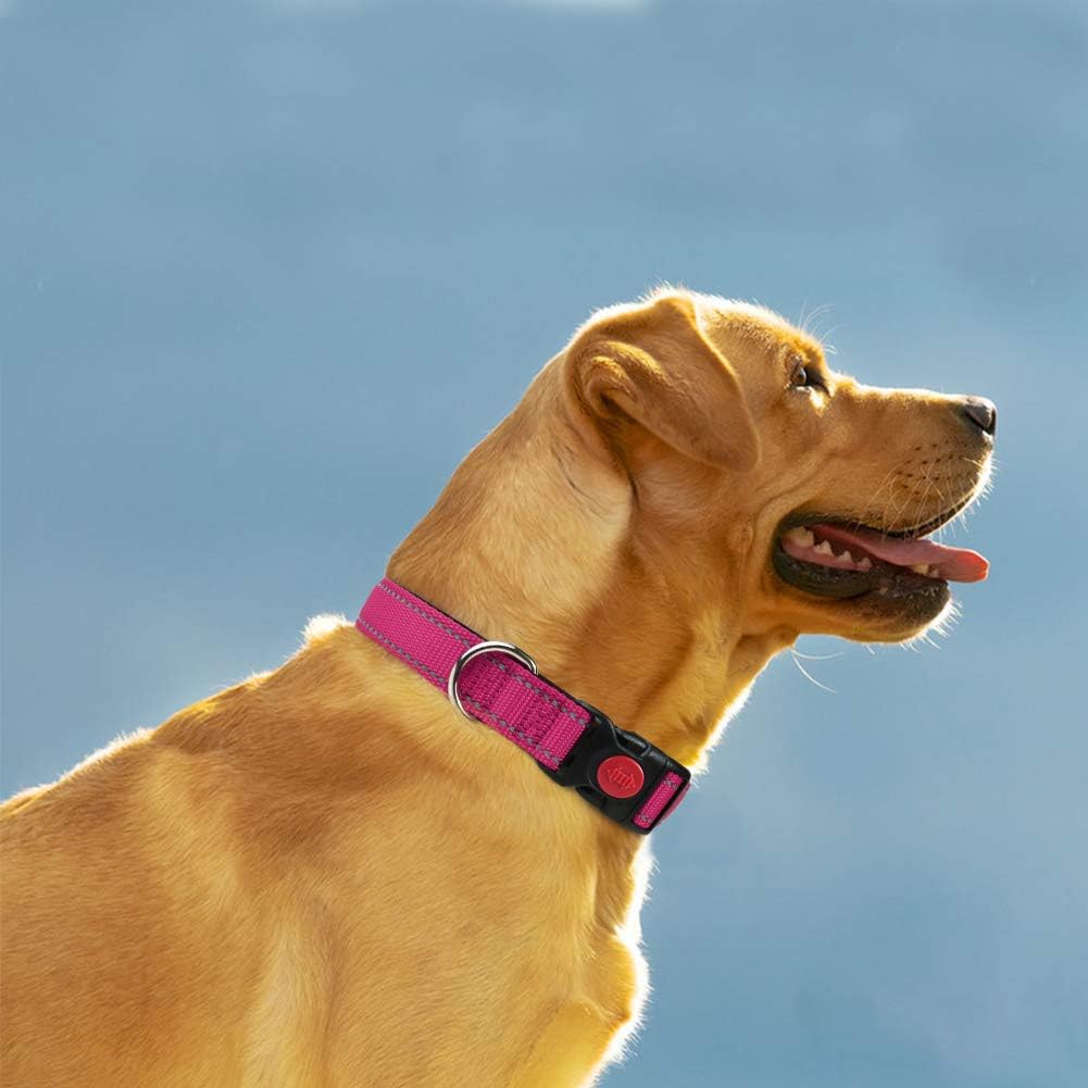 16-24" Length, 1" Wide Dog Collar and Leash Set, 1/2" x 6 FT Highly Reflective Threads Dog Leash for Medium and Large Dogs,Hotpink