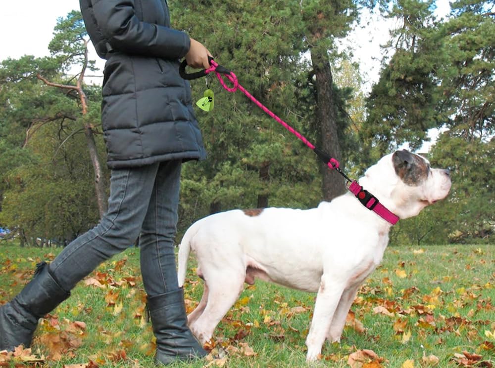 16-24" Length, 1" Wide Dog Collar and Leash Set, 1/2" x 6 FT Highly Reflective Threads Dog Leash for Medium and Large Dogs,Hotpink