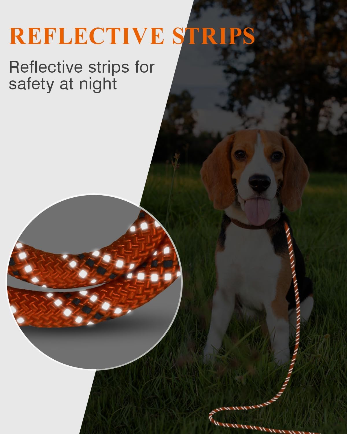 Long Dog Leash, 15FT 30FT 50FT 66FT, Training and Recall Leash with Comfortable Padded Handle for Large Medium Small Dogs Walking, Camping, Orange 30FT