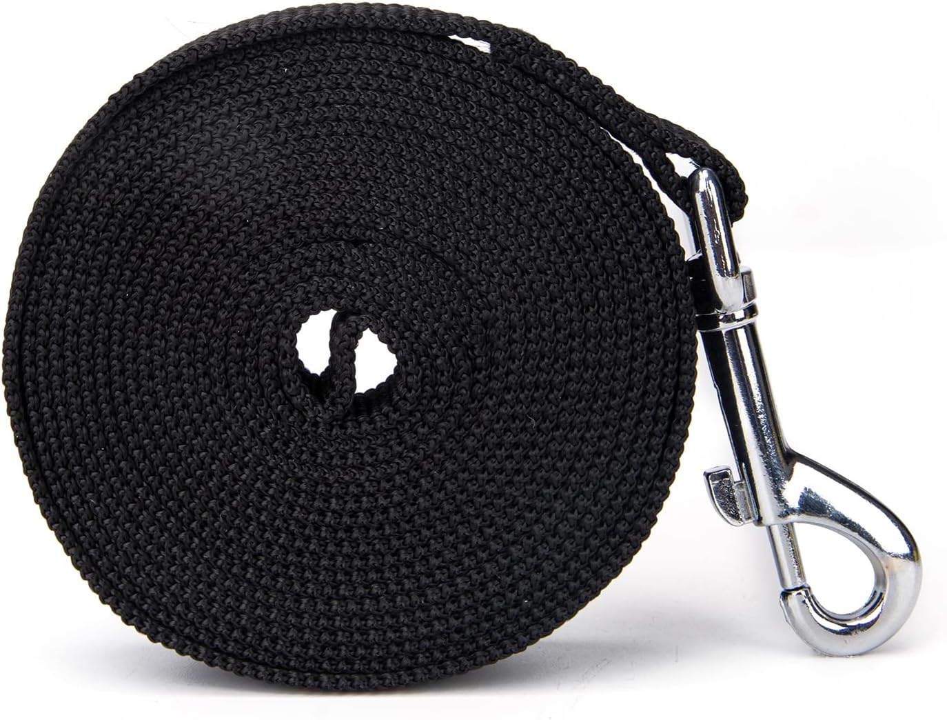 Strong Durable Nylon Dog Training Leash, 1 Inch Wide Traction Rope, 6 ft 10ft 15ft Long, for Small and Medium Dog (Black, 10 Feet)