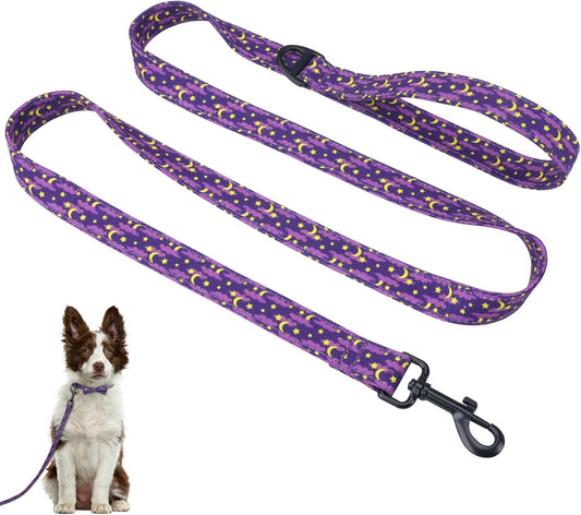 Halloween Dog Leash, 5FT Soft Cotton Leash, Heavy Duty D-Ring, Festive Moon Star Leash for Puppy Small Medium Large Dogs Halloween Celebration, 1inch