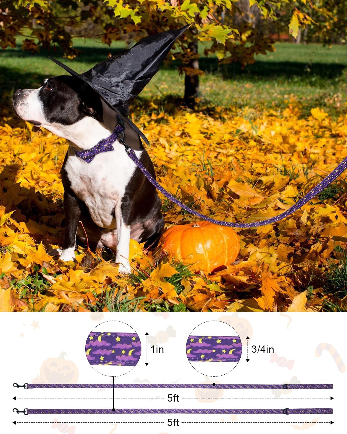 Halloween Dog Leash, 5FT Soft Cotton Leash, Heavy Duty D-Ring, Festive Moon Star Leash for Puppy Small Medium Large Dogs Halloween Celebration, 1inch