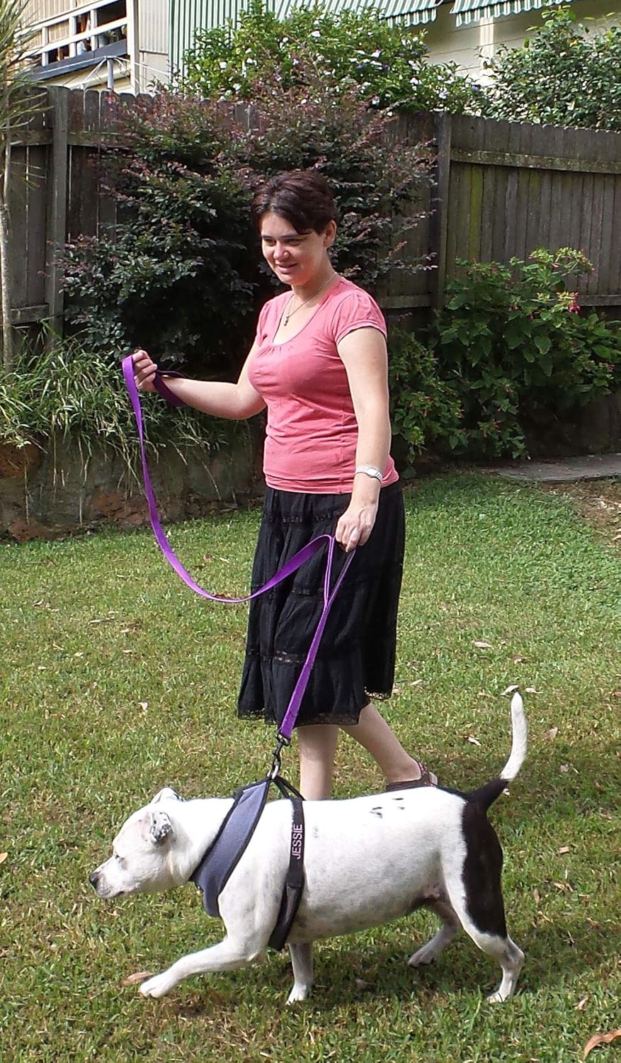 Dog Leash 6ft Long,Traffic Padded Two Handle,Heavy Duty,Reflective Double Handles Lead for Control Safety Training,Leashes for Large Dogs or Medium Dogs,Dual Handles Leads(Purple)